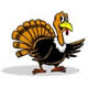 Fisher Cats Thanksgiving Day 5K